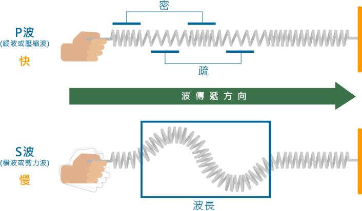 P波的行進方向與介質運動的方向平行；S波的行進方向與介質的振動方向垂直。