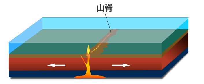 相鄰的兩個板塊互相分離，產生新的岩石圈。