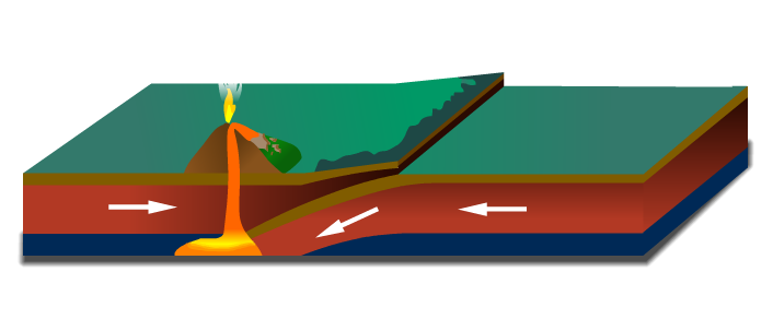 交界處的兩個板塊相互碰撞，密度較大者隱沒入較小者之下方，老岩石圈消失。