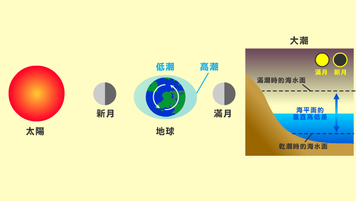 大潮時日、月、地球的相對位置 海水的漲退潮主要受月球和太陽引力的影響,但月球距地球較近,對海水漲退潮的影響比太陽大;而每逢朔、望(農曆初一、十五)時,月球、太陽與地球會連成一線。