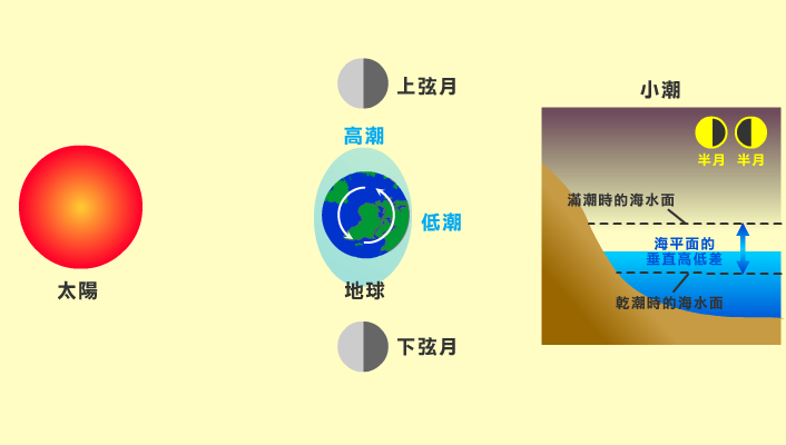 小潮時日、月、地球的相對位置 若是在上、下弦月時,太陽、月球和地球三者連線呈90度,月球和太陽的引力對海水的影響較小,形成小潮。