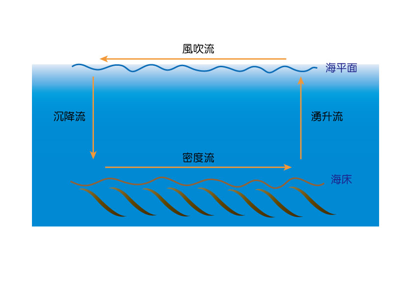 海流示意圖 吹送流是屬於海洋表面的海流,而密度流是屬於海洋深層的海流,而補償流則是海流的上升與下降,流速與流向都較為一致