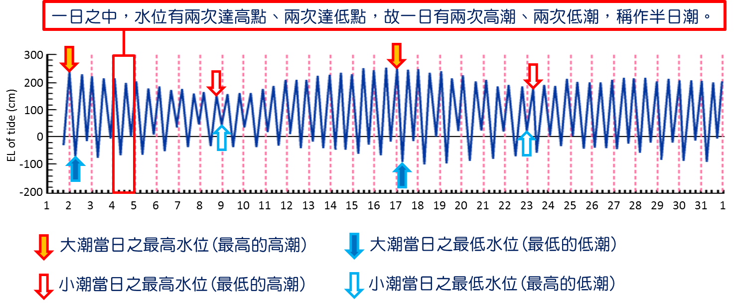 一日之中，水位有兩次達高點、兩次達低點，故一日有兩次高潮、兩次低潮，稱作半日潮