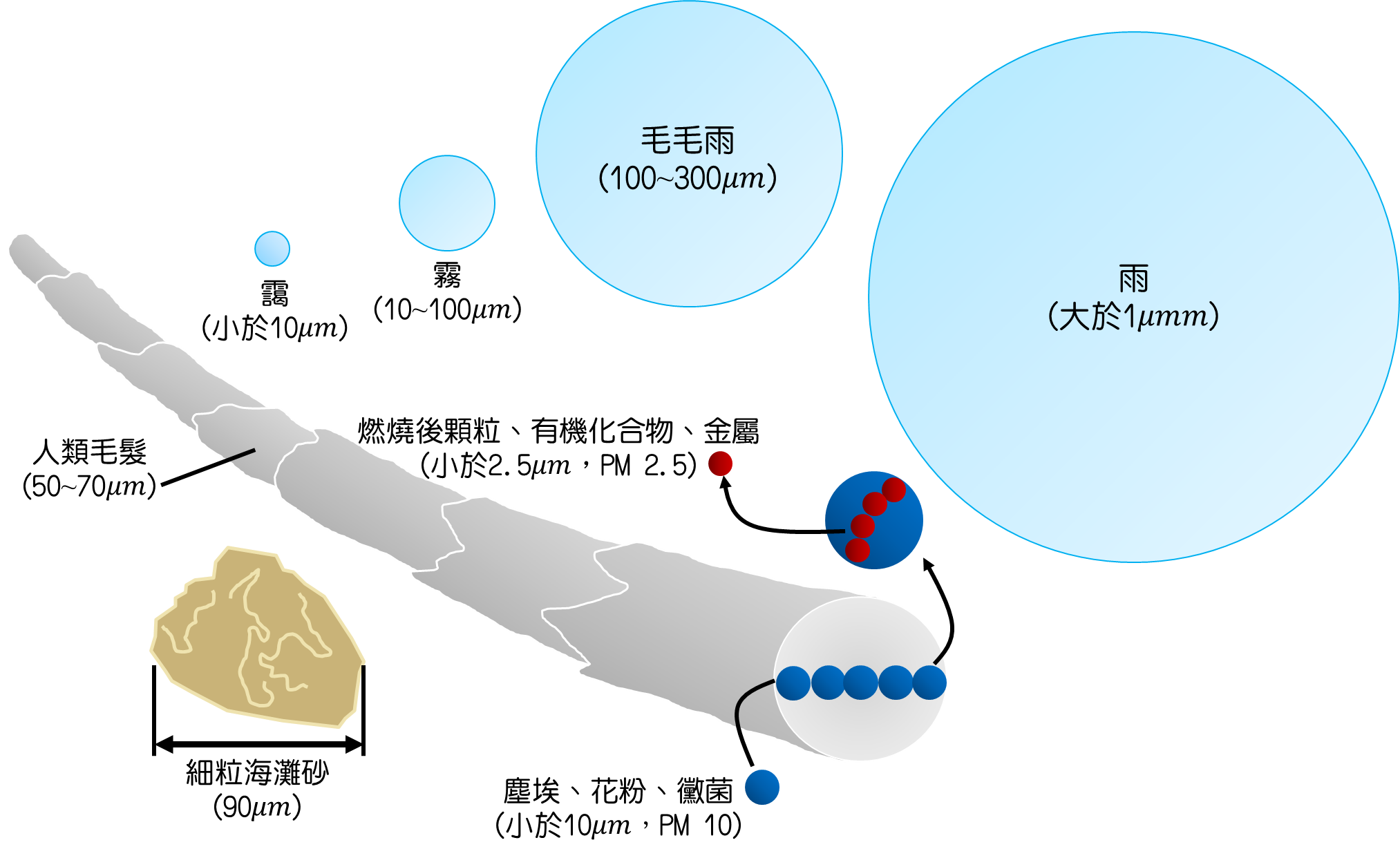 水滴、細懸浮微粒物質與其他物質直徑的比較圖。