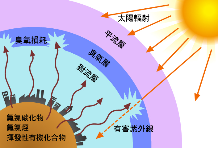 人類使用的有害化學物質，進入平流層之後，即與臭氧分子產生化學反應，使得臭氧分子急遽減少而造成臭氧洞。於是到達地球表面的紫外線輻射便大量的增加，將會嚴重危害地球的生態。