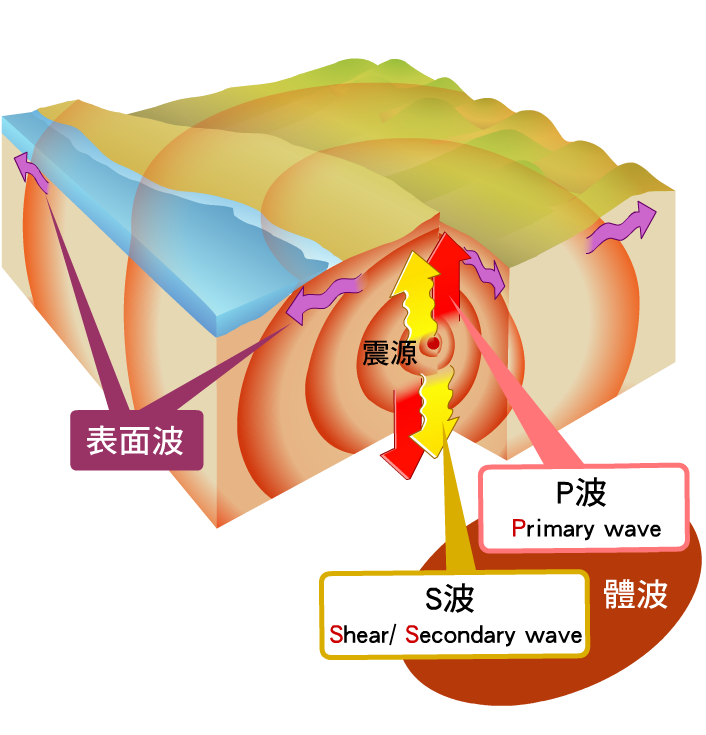 由地球內部傳播的體波，包含P波與S波。而地表傳遞的表面波，包含洛夫波與雷利波。