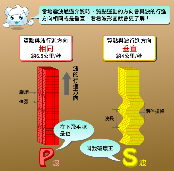 P波質點與波行進方向相同，約每秒6.5公里，藉由質點壓縮與伸張傳導，所以波的形狀有疏密差異；而S波質點與波行進方向垂直，約每秒4公里，形狀像海浪。