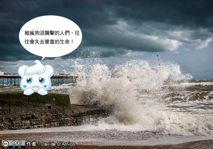 被瘋狗浪襲擊的人們，往往會失去寶貴的生命！