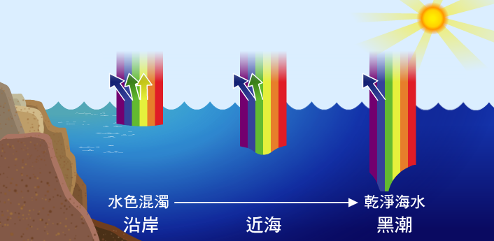 在黑潮區域，太陽大部分的光線都被海水吸收，剩下被反射回來的藍光，因此顯得比其他區域顏色深，所以叫黑潮