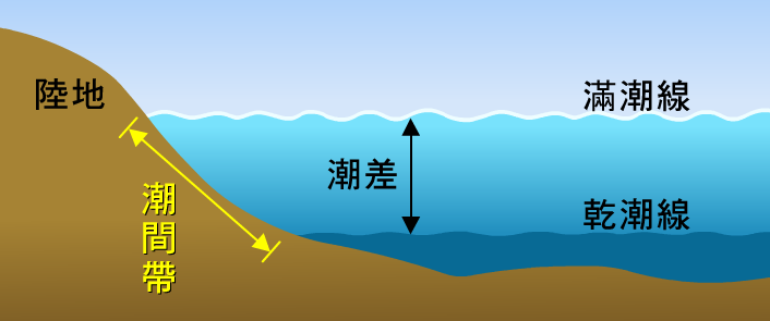 潮間帶是滿潮線和乾潮線之間，曝露在空氣中的海岸區域。