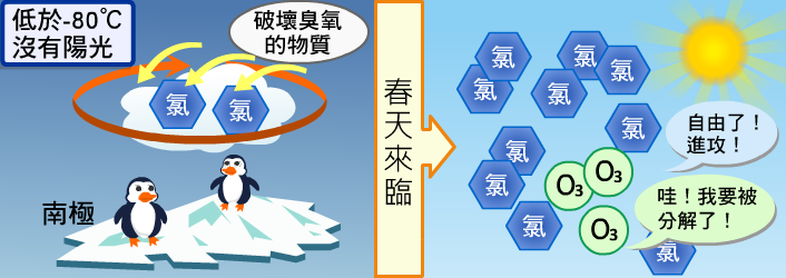南極臭氧洞的主因 極地渦旋&極地冰晶雲鎖住了破壞臭氧的化學物質,加速春季臭氧消耗。